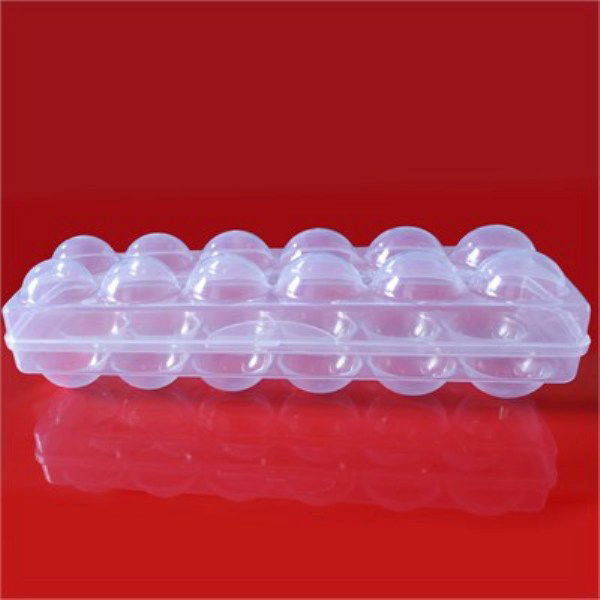 Egg Storage Container - Transparent