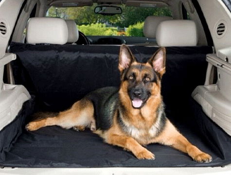 Pet Car Back Seat Cover - Black (Carry Bag Gift)