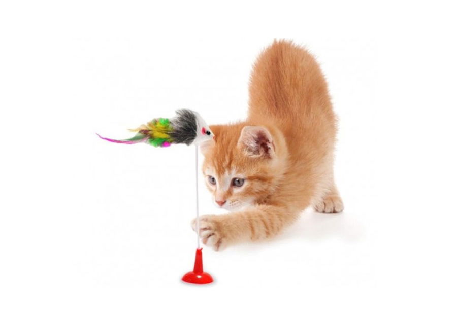 Suction Cup Cat Toy - Mouse Catching Toy