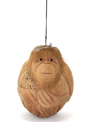 Coconat Monkey Bust