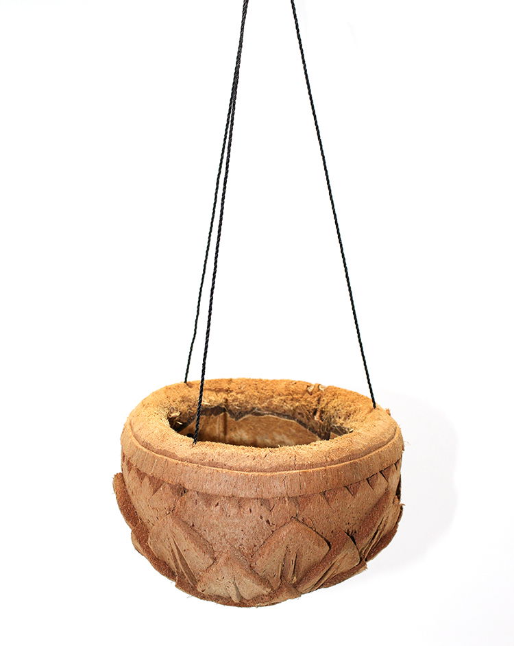 Coconat Flower Holder