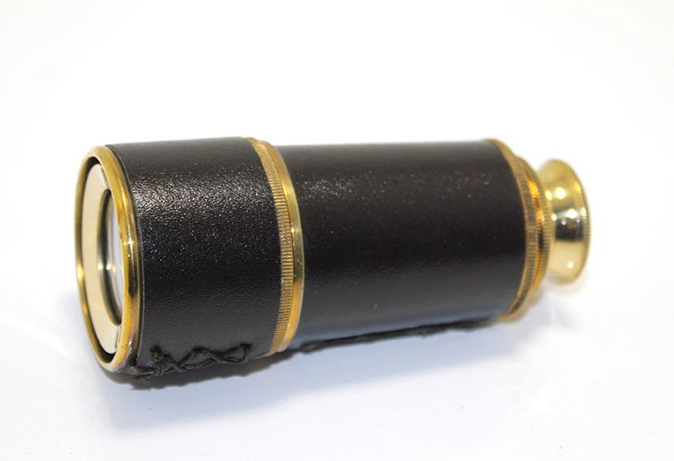 Leathered Brass Binoculars 7669