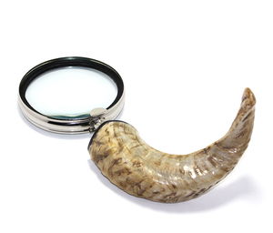 Brass Horn Handle Magnifier KSK14