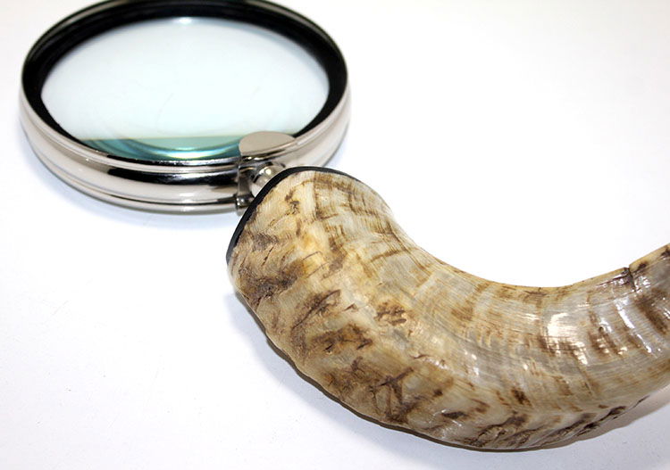 Brass Horn Handle Magnifier KSK14