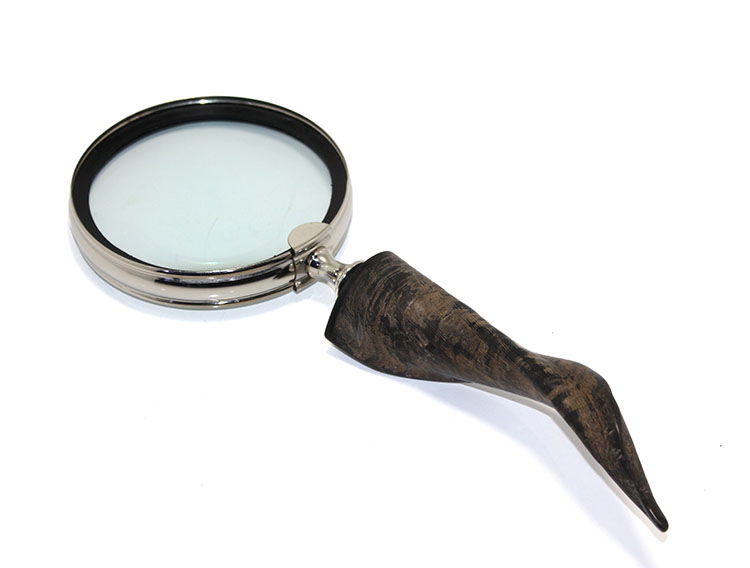 Horn Magnifier 15880