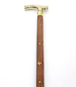 Brass Walking Stick B2044