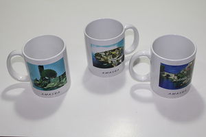 Local Mug Cup 9ALY477